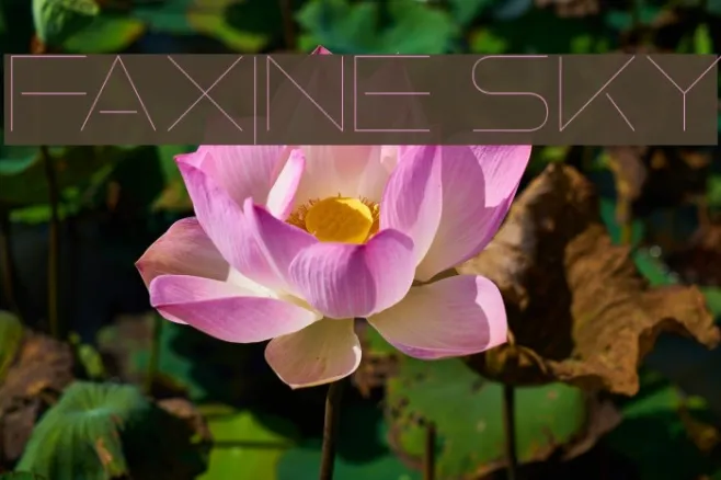 Faxine Sky Example 1