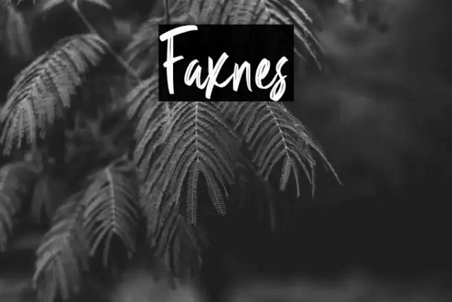 Faxnes Font examples