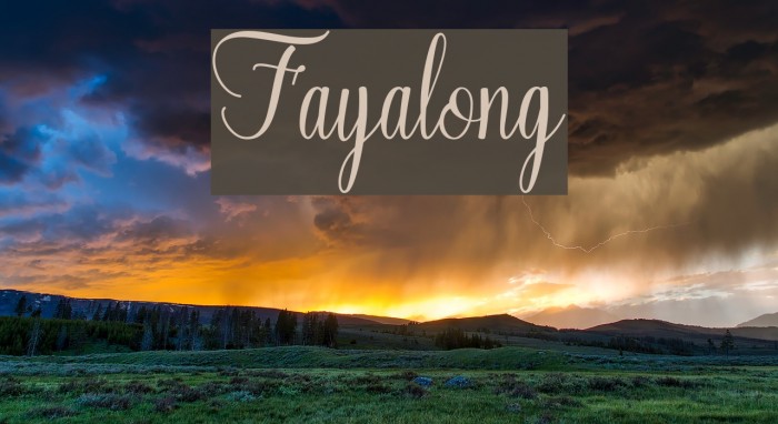 Fayalong Example 1