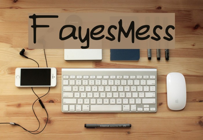 FayesMess Example 1