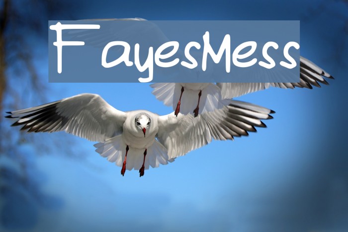 FayesMess Example 2