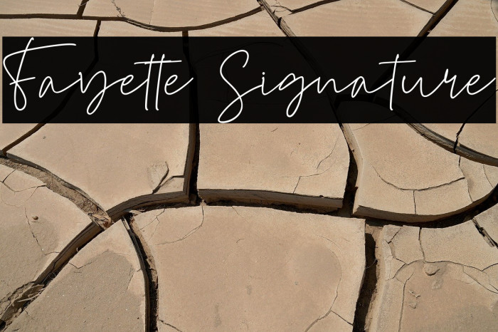 Fayette Signature Example 3