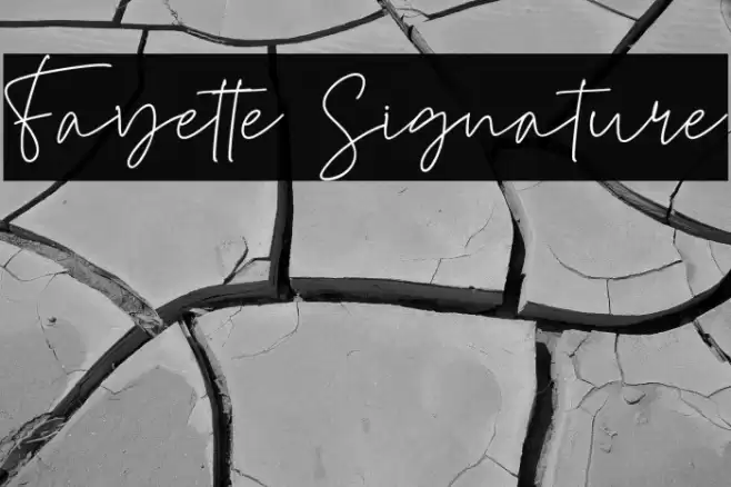 Fayette Signature Font examples
