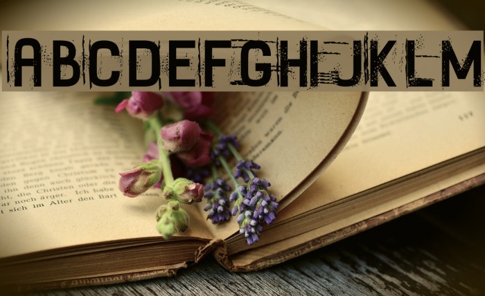 Fayettenam Font examples