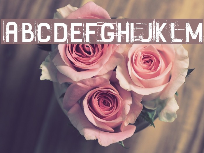 Fayettenam Font examples