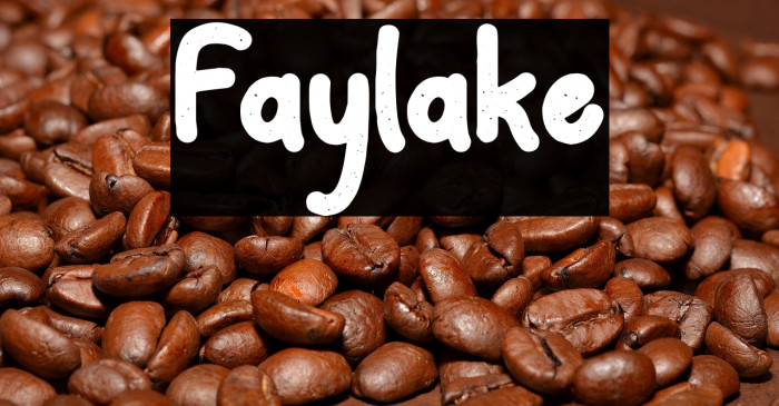 Faylake Example 2