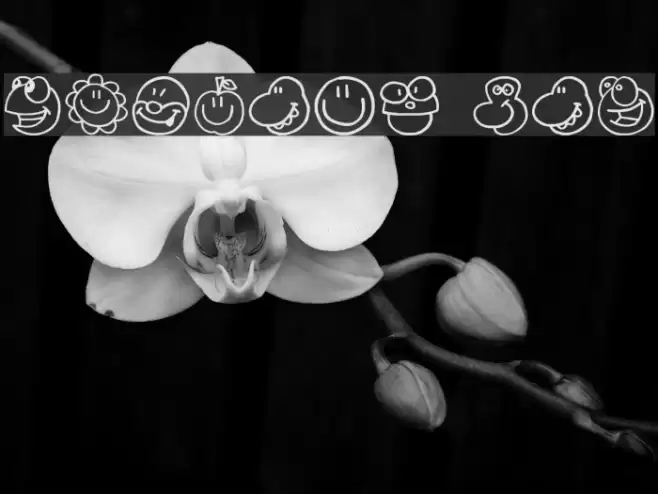 Fazings one Font examples