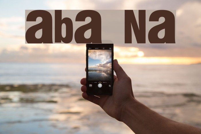 fabianestem Normal Font examples