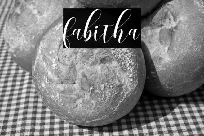 fabitha Font examples