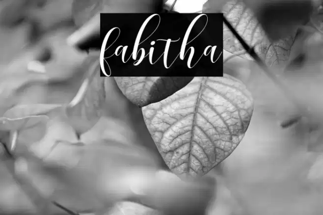 fabitha Font examples