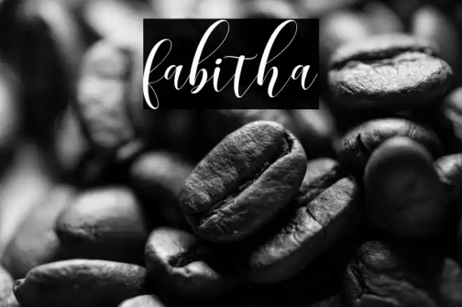 fabitha Font examples