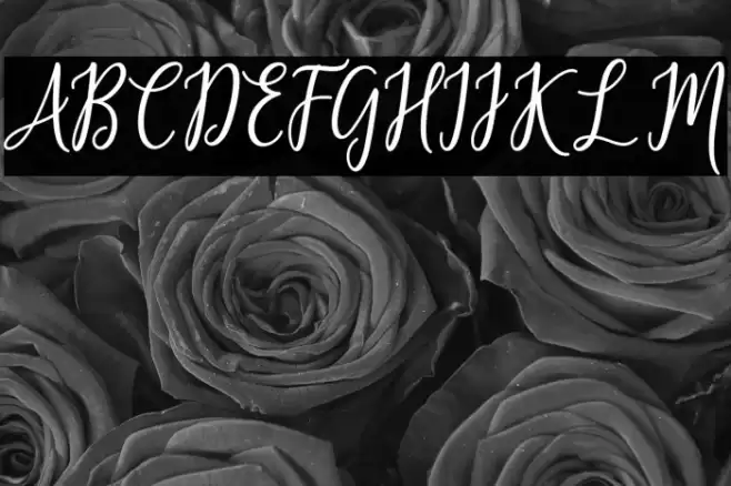 fabulous Font examples