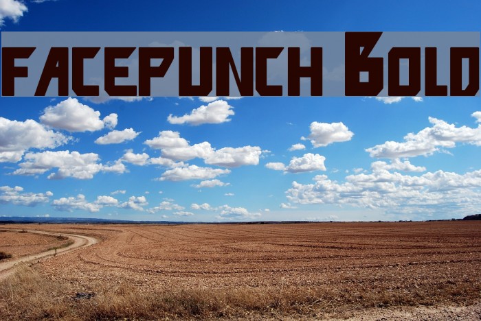 facepunch Bold Font examples