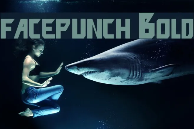 facepunch Bold Example 3