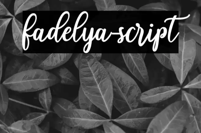 fadelya-script Font examples