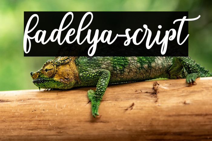 fadelya-script Example 2