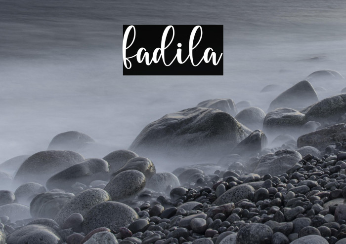 fadila Example 1