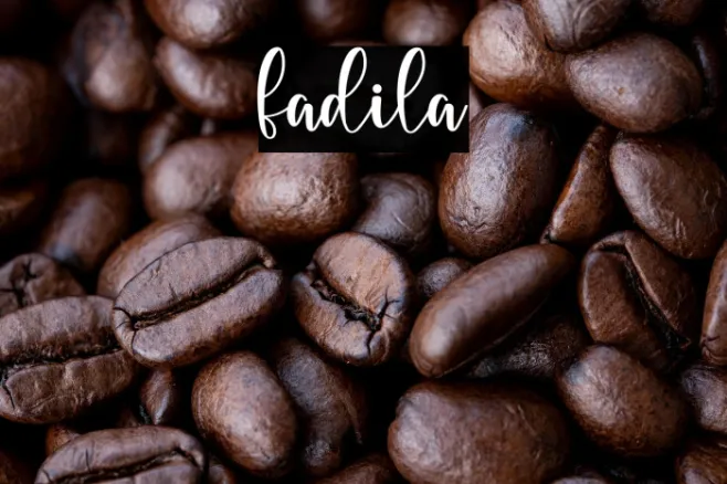 fadila Example 3