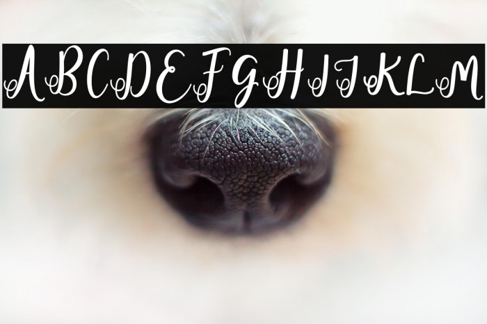 fadillademo-Regular Example 3