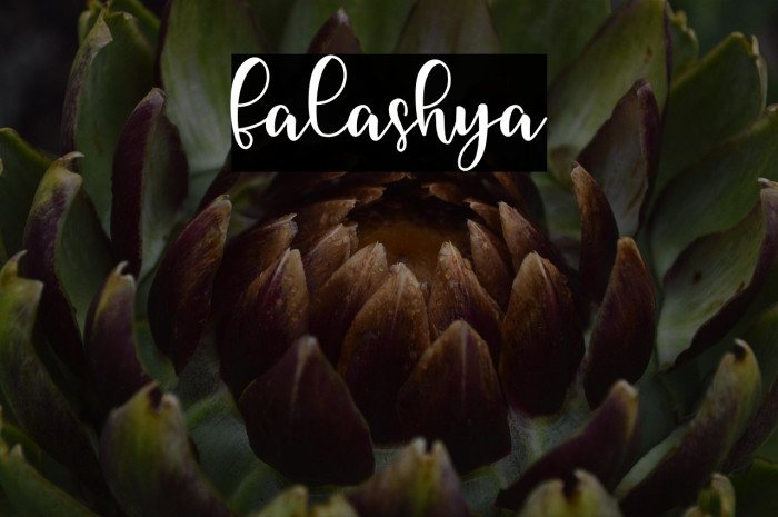 falashya Example 2