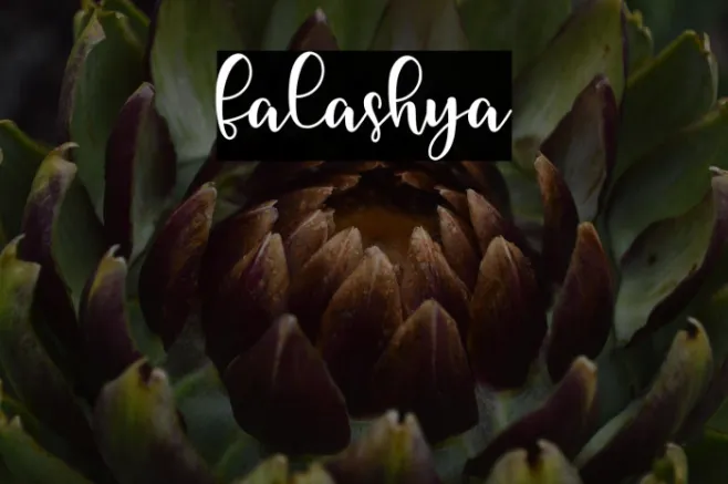 falashya Example 2