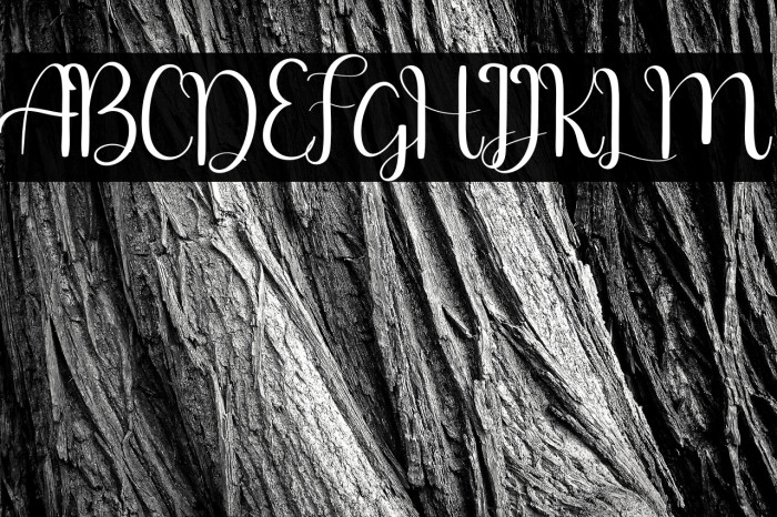 falling free for personal use Example 1