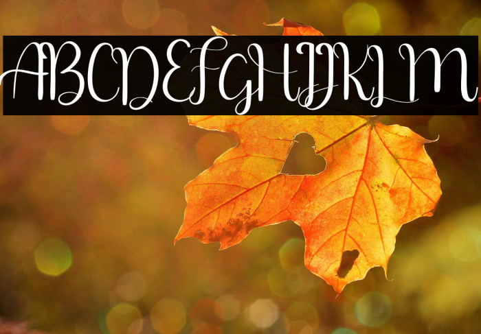 falling free for personal use Example 2