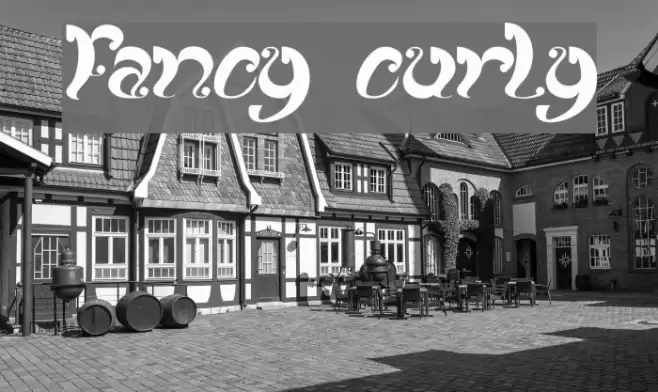 fancy curly Font examples