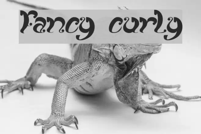 fancy curly  examples