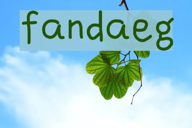 fandaeg Example 3