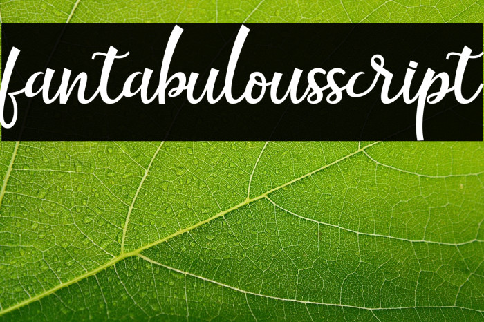 fantabulousscript Example 1