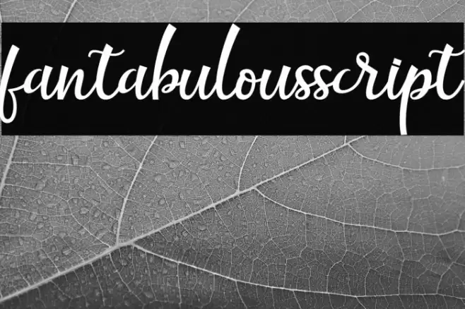 fantabulousscript Font examples