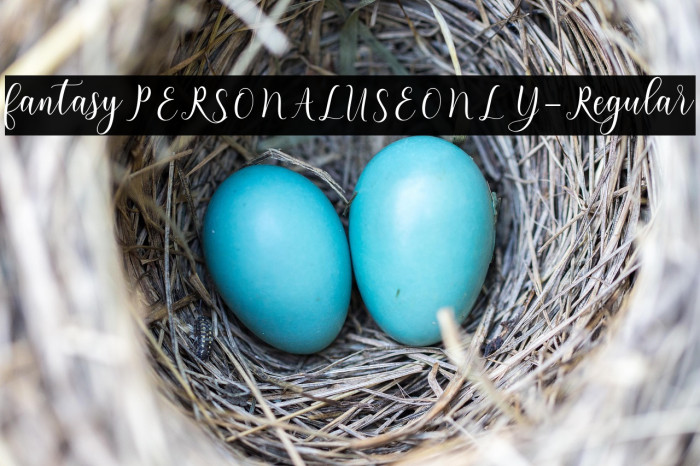 fantasyPERSONALUSEONLY-Regular Example 1