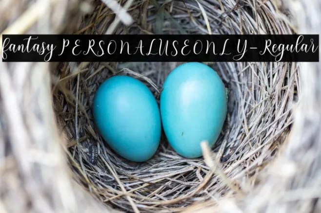 fantasyPERSONALUSEONLY-Regular Example 1