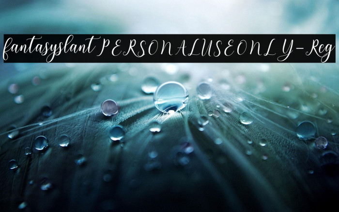 fantasyslantPERSONALUSEONLY-Reg Example 2