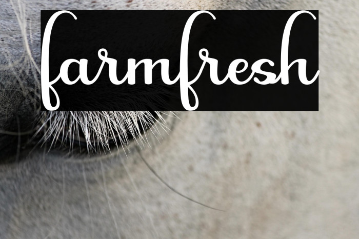 farmfresh Example 1
