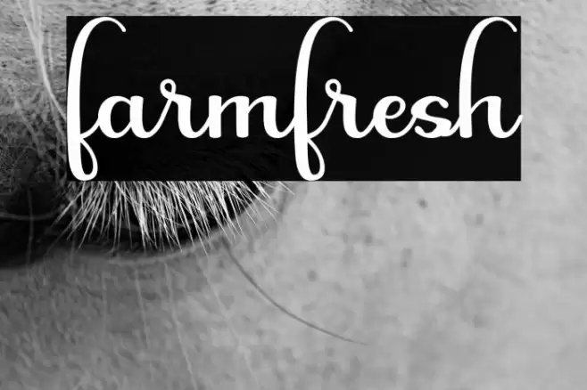 farmfresh Font examples