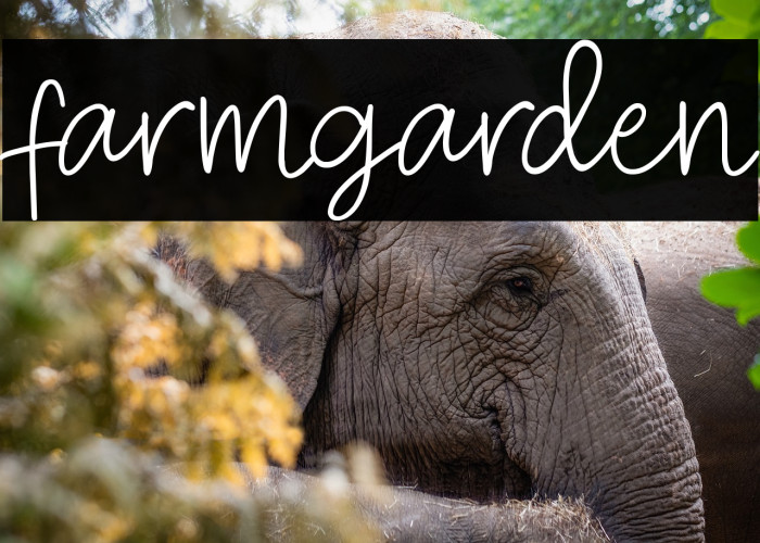 farmgarden Example 3