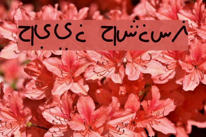 farsi family Font examples