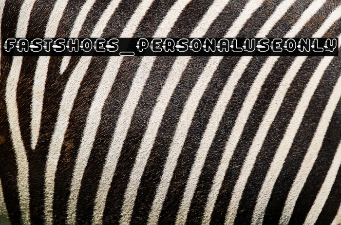 fast shoes_PersonalUseOnly Example 2