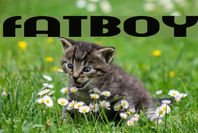 fatboy Example 3