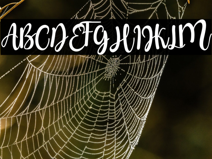 father mother Example 2