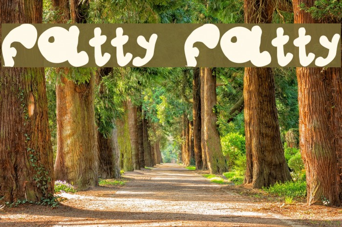 fatty fatty Font examples