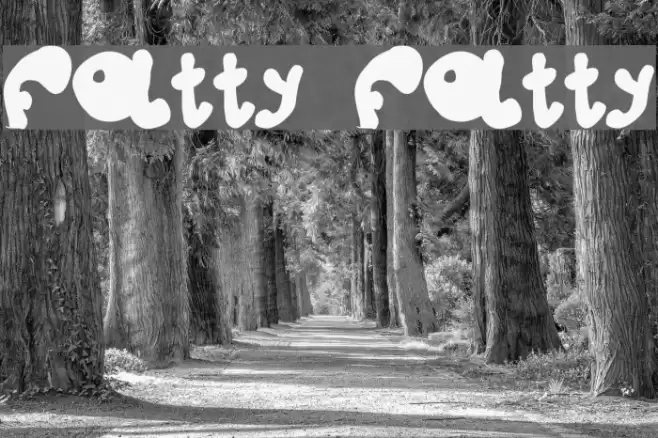 fatty fatty Schriftart examples