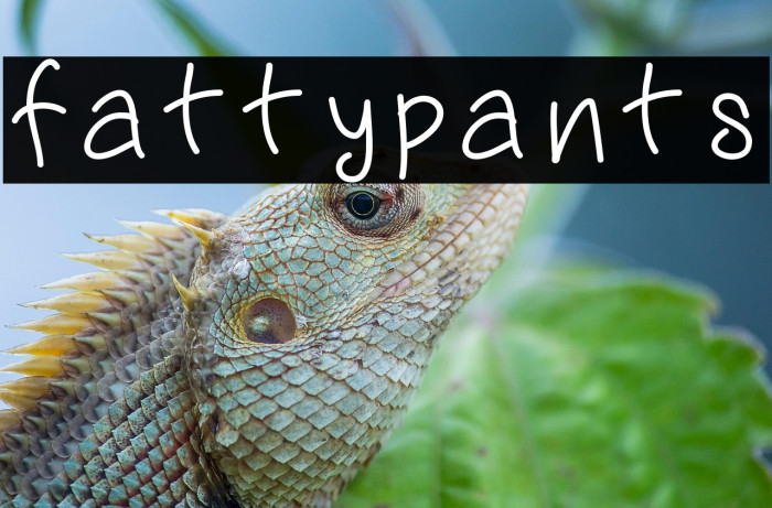 fattypants Example 2