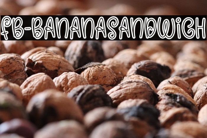 FB-BananaSandwich Example 2