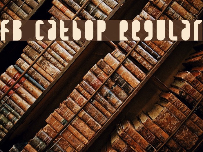 FB Catbop Regular Example 2