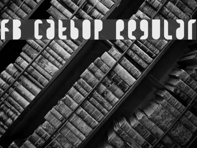FB Catbop Regular Font examples