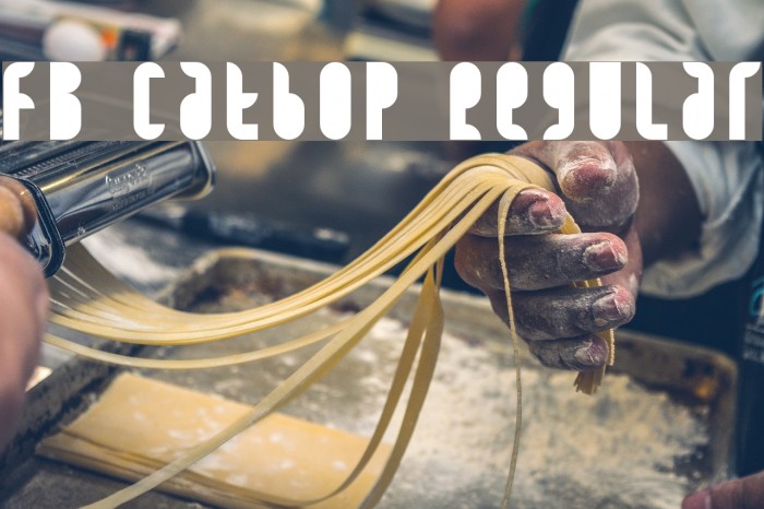 FB Catbop Regular Example 3