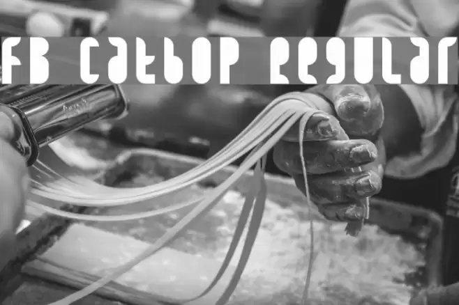 FB Catbop Regular Font examples